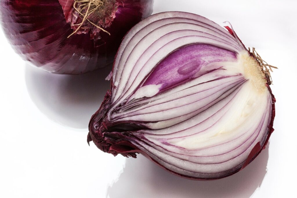 onion, allium cepa, red onion-276590.jpg